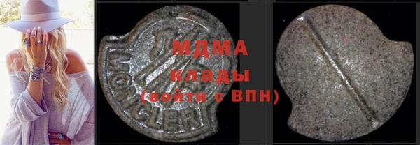 стаф Ельня