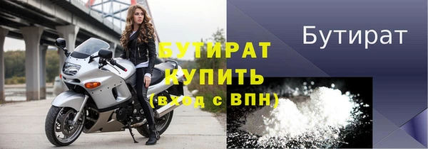стаф Ельня