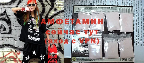 стаф Ельня