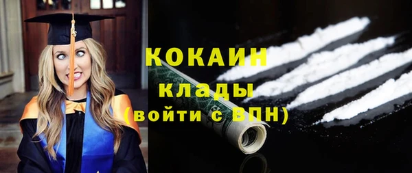 стаф Ельня