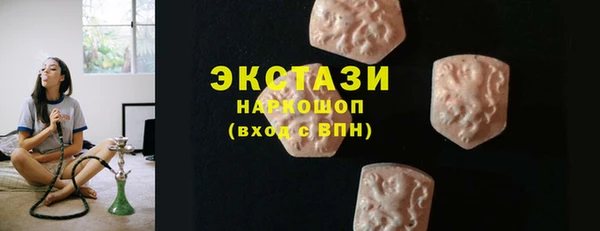 стаф Ельня