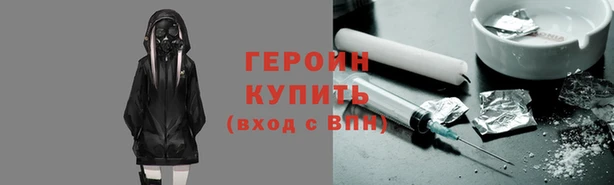 стаф Ельня