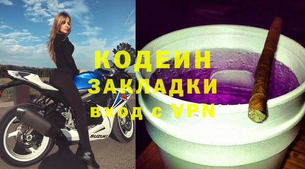 стаф Ельня