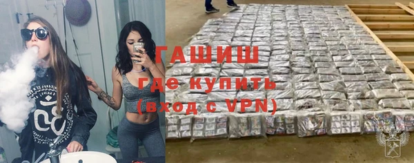 стаф Ельня