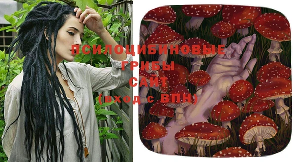 PSILOCYBIN Зеленодольск