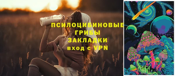 стаф Ельня