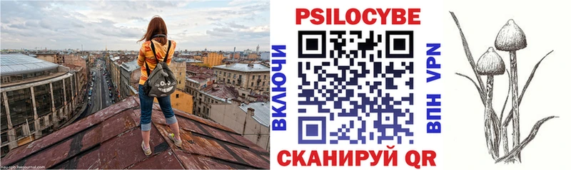 Псилоцибиновые грибы Cubensis  как найти наркотики  блэк спрут tor  Якутск 
