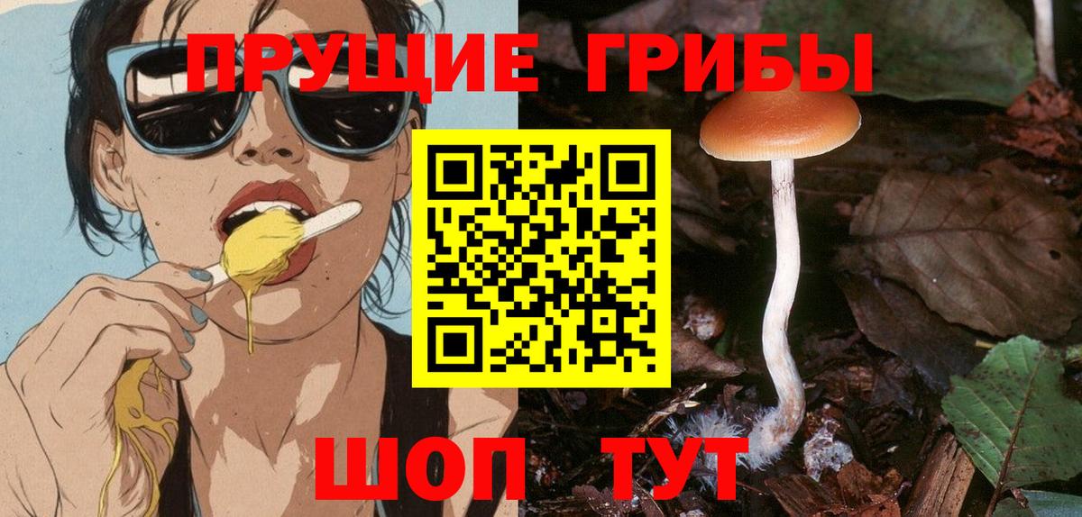 Галлюциногенные грибы Psilocybe Якутск